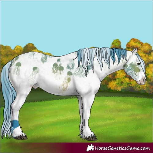 Horse Color:Watercolor White Spotted Bay Ice 