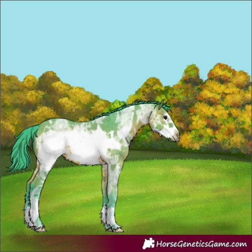 Horse Color:Watercolor Bay Ice Frame 