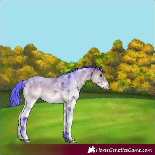 Horse Color:Watercolor White Spotted Bay 