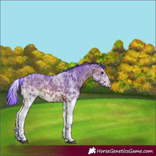 Horse Color:Watercolor White Spotted Brown Ice 