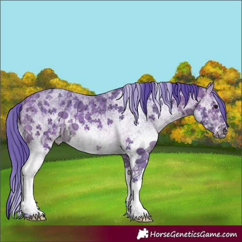 Horse Color:Watercolor White Spotted Bay Ice 