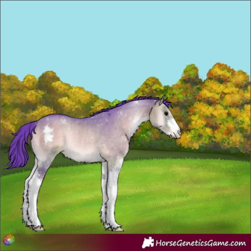 Horse Color:Watercolor Brown Onyx Sabino Rabicano 