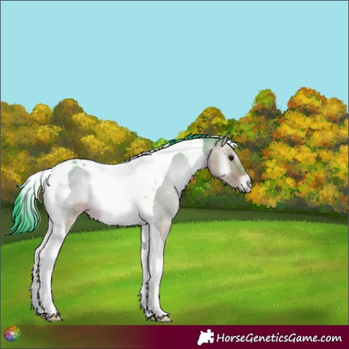 Horse Color:Watercolor Brown Onyx Tobiano Rabicano 