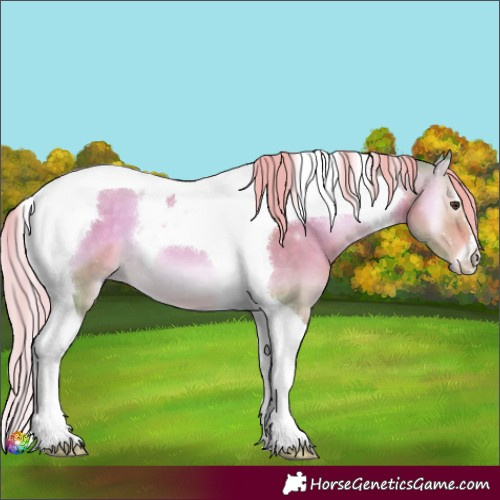 Horse Color:Watercolor Chocolate Palomino Onyx Tobiano 