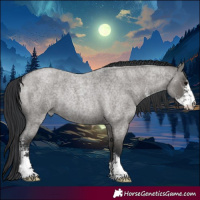 Horse Color:Grullo Roan Sabino Rabicano