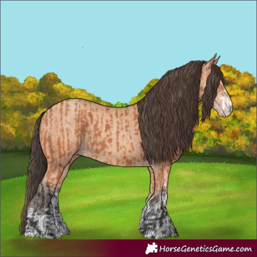 Horse Color:Bay  and Amber Champagne 