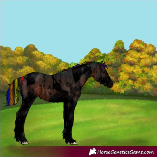 Horse Color:Void Painted White Spotted Brown Tobiano 