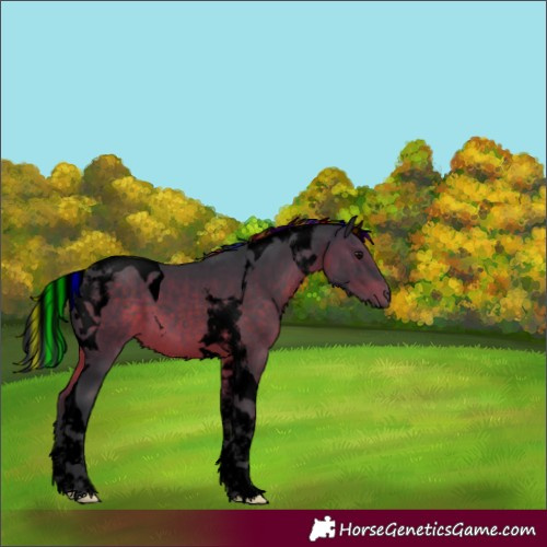 Horse Color:Void Painted Brown Tobiano 