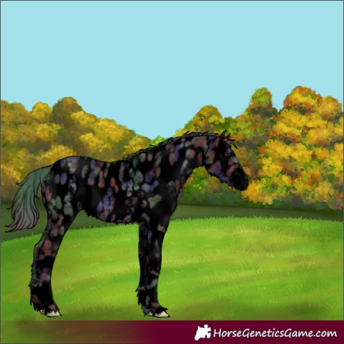 Horse Color:Powder White Void Nacre White Spotted Black Near Leopard 