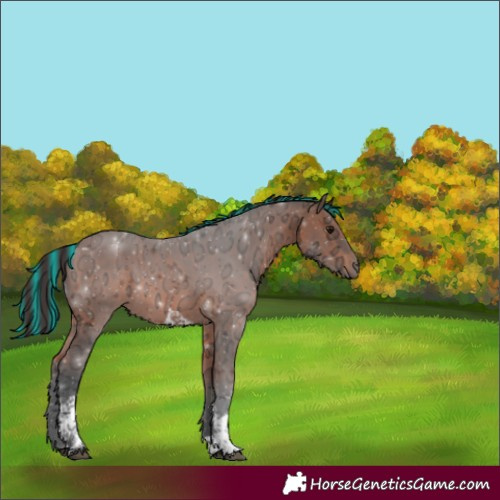 Horse Color:Painted Bay Ice Tobiano 