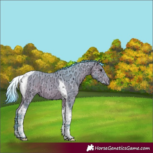 Horse Color:Watercolor Bay Ice Tobiano 