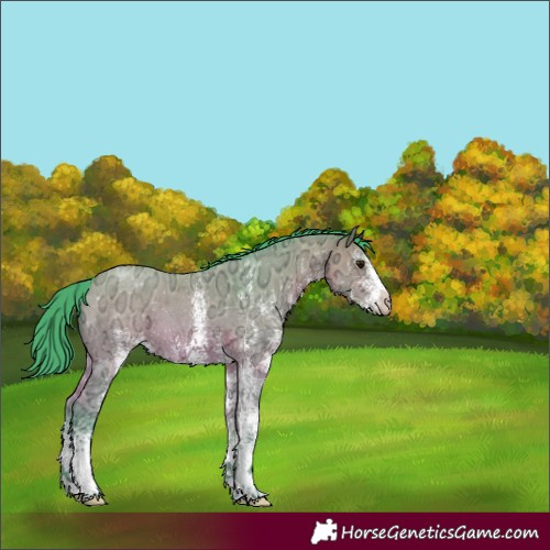 Horse Color:Watercolor White Spotted Bay Ice 