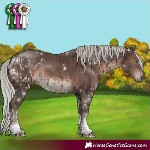 Horse Color:White Spotted Silver Brown Tobiano Blanket Rabicano  and White Spotted Silver Black Tobiano Rabicano 