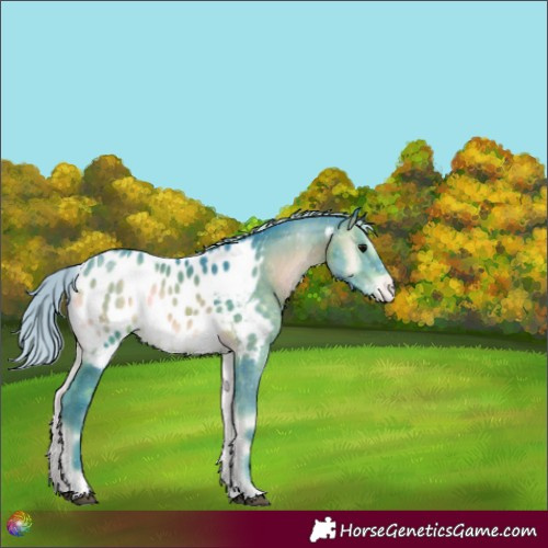 Horse Color:Watercolor Silver Brown Onyx Tobiano Near Leopard Rabicano 