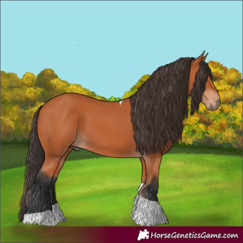 Horse Color:Bay Tobiano 