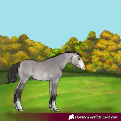 Horse Color:Platinum Buckskin Dun Sabino 