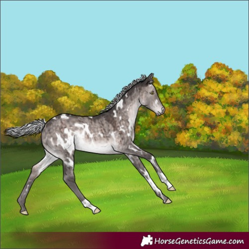 Horse Color:Platinum White Spotted Silver Brown Dun Rabicano Brindle