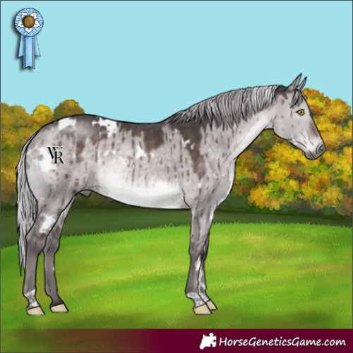 Horse Color:Platinum White Spotted Silver Brown Dun Rabicano Brindle