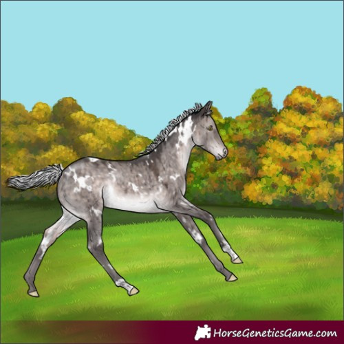 Horse Color:Platinum White Spotted Silver Brown Dun Rabicano Brindle 