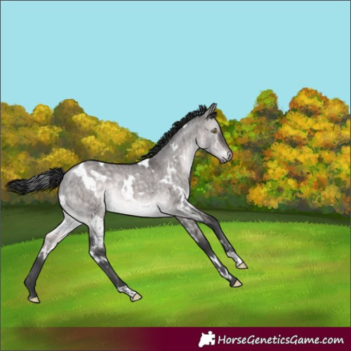Horse Color:Platinum White Spotted Brown Dun Rabicano Brindle 