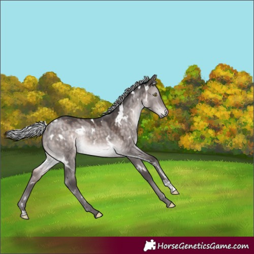 Horse Color:Platinum White Spotted Silver Brown Dun Rabicano