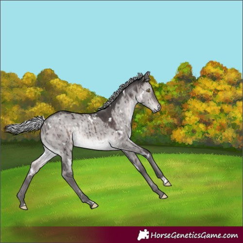 Horse Color:Platinum White Spotted Silver Brown Dun Rabicano Brindle 