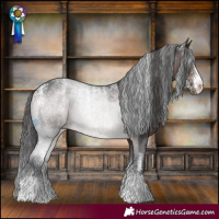 Horse Color:Powder White Brown Appaloosa 