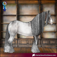 Horse Color:Powder White Brown Appaloosa