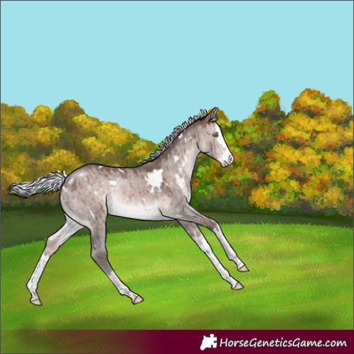 Horse Color:Platinum White Spotted Silver Bay Dun Splash Rabicano Brindle 