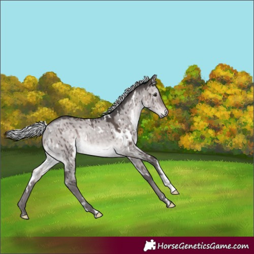 Horse Color:Platinum White Spotted Silver Brown Dun Rabicano Brindle 