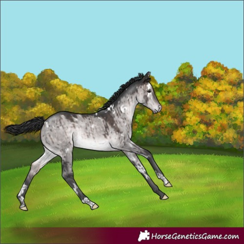 Horse Color:Platinum White Spotted Brown Dun Rabicano Brindle