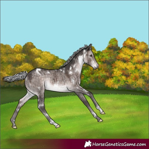 Horse Color:Platinum White Spotted Silver Brown Dun Rabicano Brindle