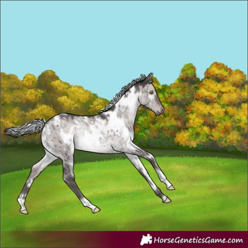 Horse Color:Platinum White Spotted Silver Brown Dun Rabicano Brindle