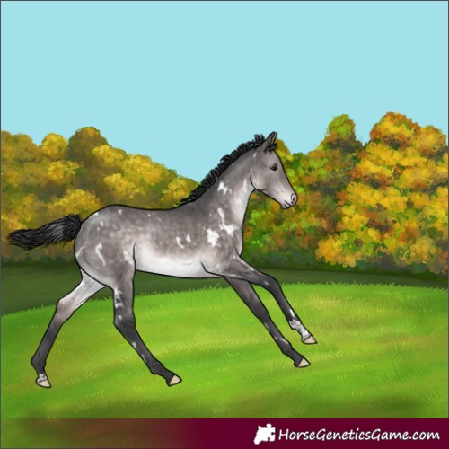 Horse Color:Platinum White Spotted Brown Dun Rabicano Brindle 