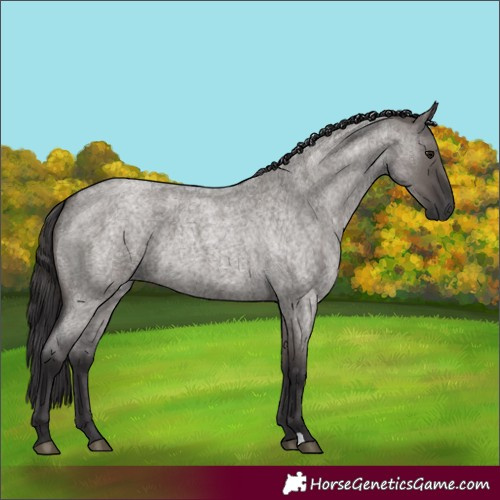 Horse Color:Smoky Grullo Roan 