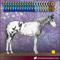Horse Color:Black Sabino Tobiano Blanket Rabicano 