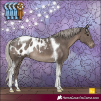 Horse Color:Silver Black Tobiano Appaloosa Rabicano
