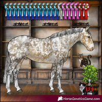 Horse Color:Powder White White Spotted Buckskin Dun Snowflake Varnish Brindle 