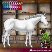 Horse Color:Powder White White Spotted Buckskin Dun Appaloosa Brindle