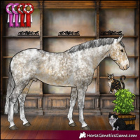 Horse Color:Powder White White Spotted Buckskin Dun Appaloosa Brindle 