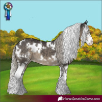 Horse Color:White Spotted Silver Smoky Black Sabino 