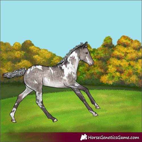 Horse Color:Platinum White Spotted Silver Brown Dun Rabicano Brindle 