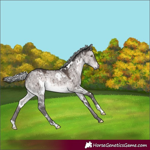 Horse Color:Platinum White Spotted Silver Brown Dun Rabicano Brindle 