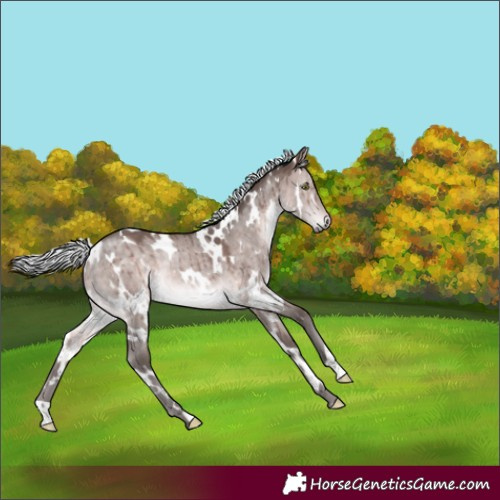 Horse Color:Platinum White Spotted Silver Brown Dun Rabicano Brindle