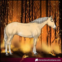 Horse Color:Palomino Dun