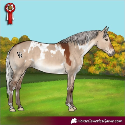 Horse Color:White Spotted Silver Brown Dun Rabicano 
