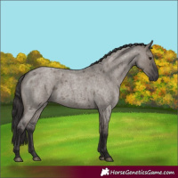 Horse Color:Smoky Grullo Roan 
