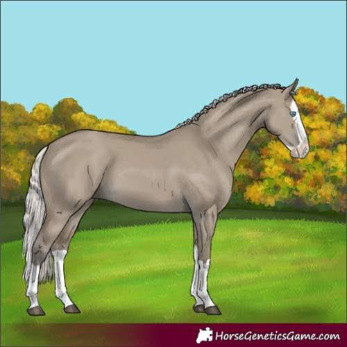 Horse Color:Silver Smoky Grullo Splash 
