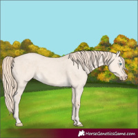 Horse Color:Perlino Dun Merle Rabicano