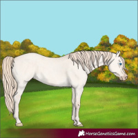 Horse Color:Perlino Dun Merle Rabicano 